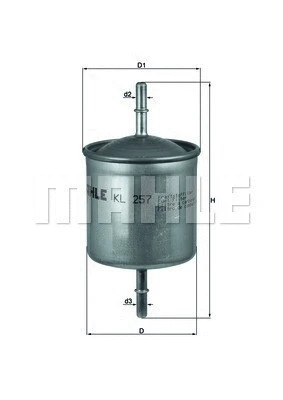 Fuel Filter (154066409810)