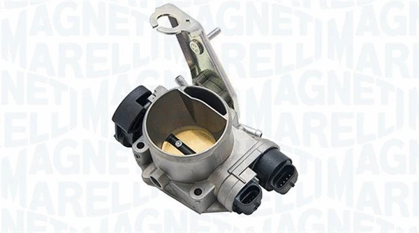 Throttle Body (802007972401)