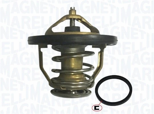 Thermostat, coolant (352317004000)