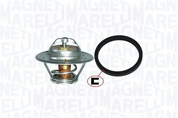 Thermostat, coolant (352317000410)