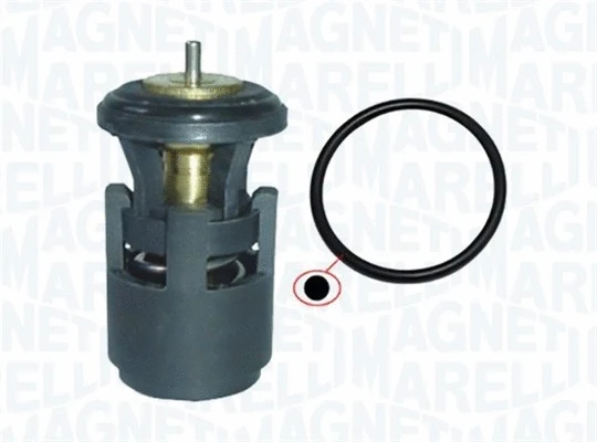 Thermostat, coolant (352317002070)