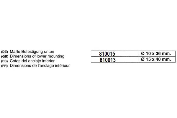 Shock Absorber (810015)