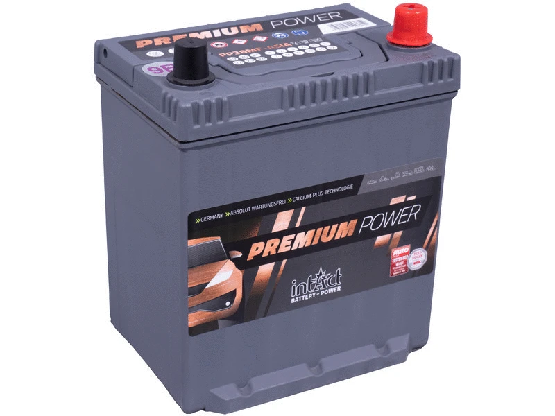 Starter Battery
