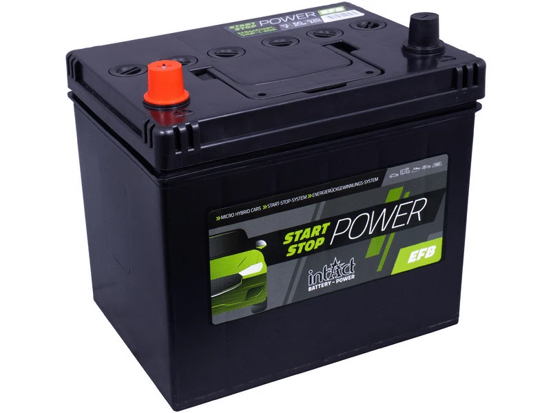 Starter Battery