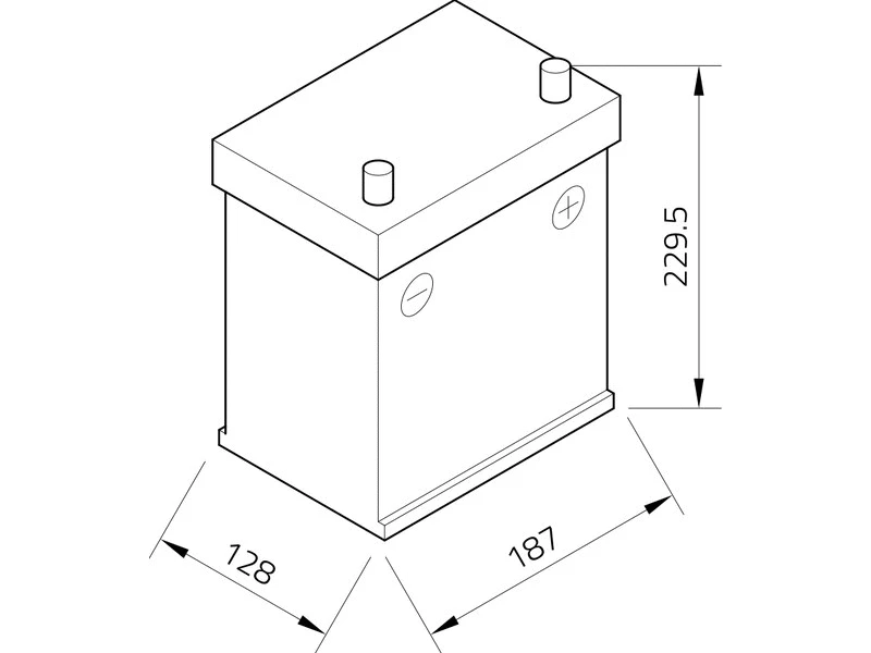 Starter Battery