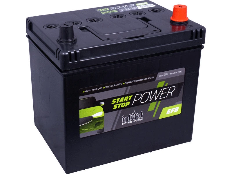 Starter Battery