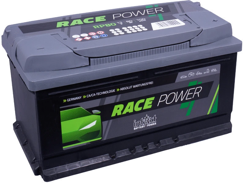 Starter Battery