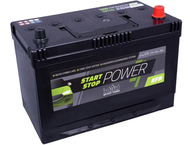 Starter Battery