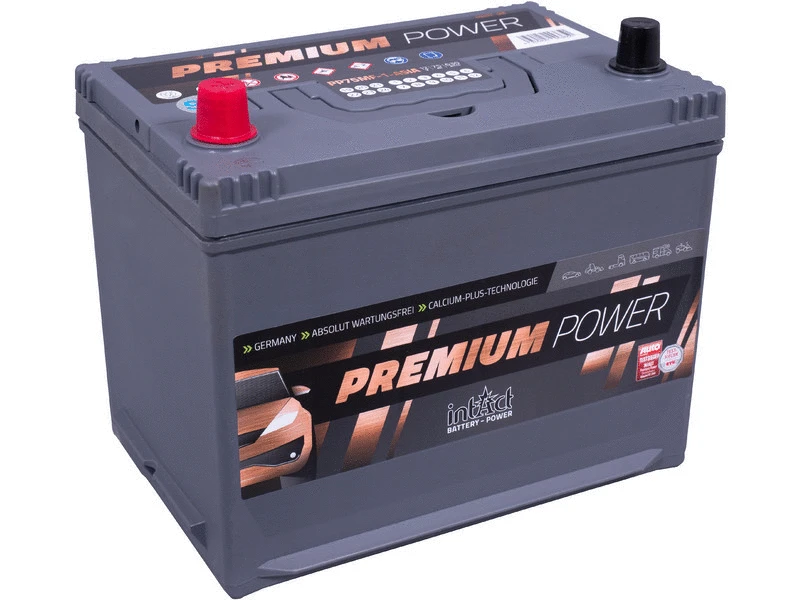 Starter Battery