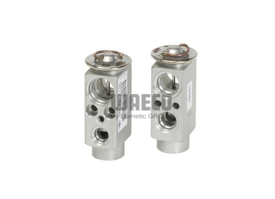 Expansion Valve, air conditioning (8881100077)