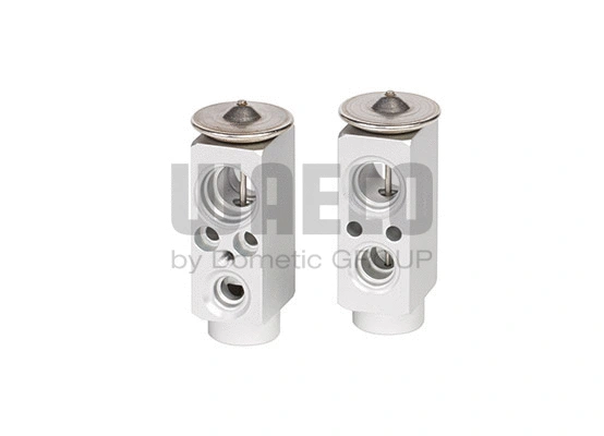 Expansion Valve, air conditioning (8881100089)
