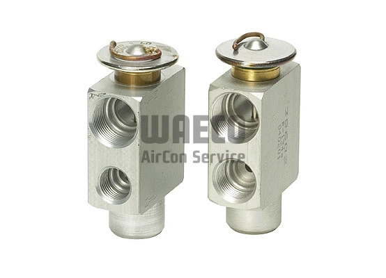 Expansion Valve, air conditioning (8881100013)