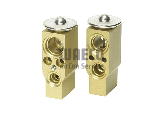Expansion Valve, air conditioning (8881100058)