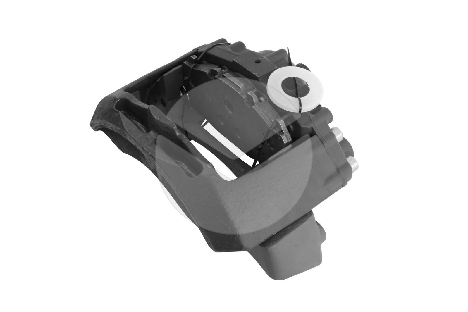 Brake Caliper (606960)