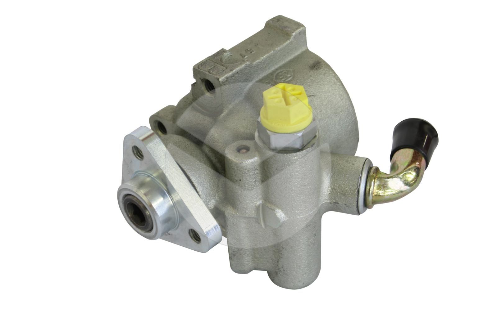 Hydraulic Pump, steering (300370)