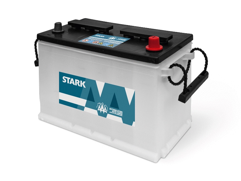 Starter Battery
