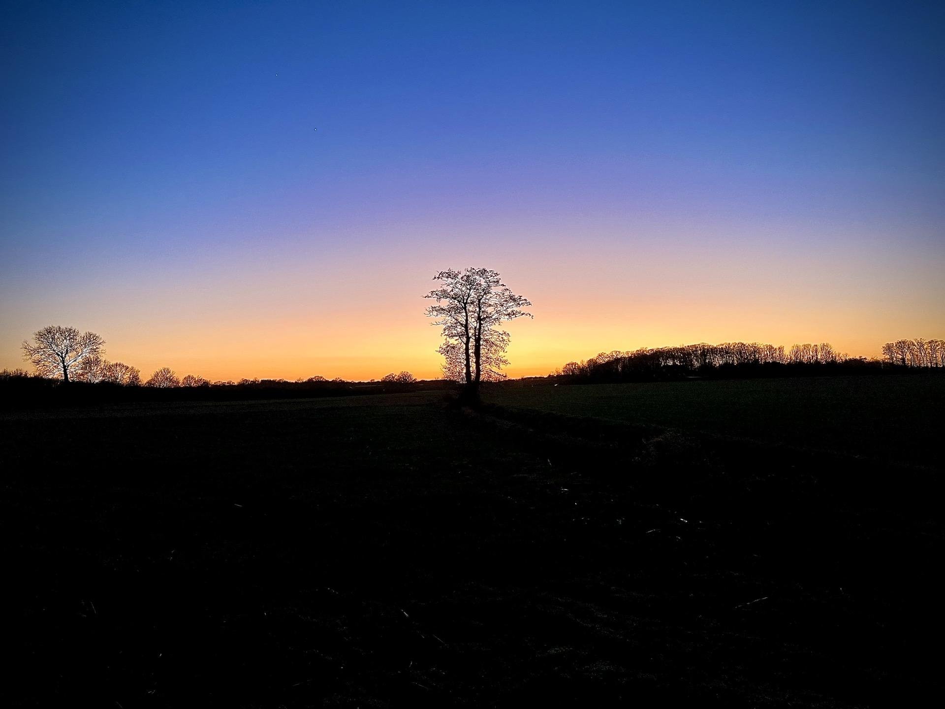 The image shows a serene and expansive countryside landscape during twilight. The horizon is adorned by a beautiful gradient of blue to orange, indicating either sunrise or sunset. In the foreground, there are fields that look freshly plowed, contributing to a sense of openness and tranquility. Several prominent trees are scattered throughout the landscape, with one particularly striking tree standing alone, silhouetted against the vibrant sky. This tableau creates a peaceful and picturesque rural scene.