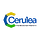 Cerulea