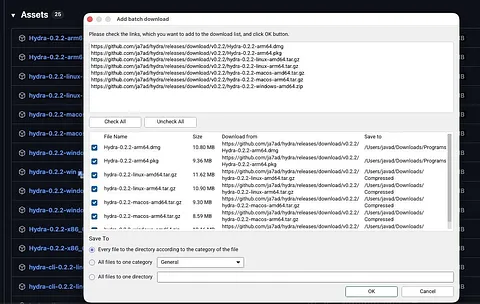 Hydra Download Manager (HDM) – Fast, Multi-Source Download Engine screenshot 1