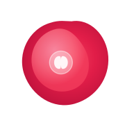 samagama.ai