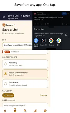 Squirrel It screenshot 4