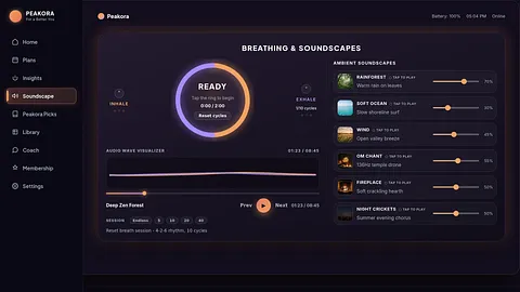 Peakora screenshot 3