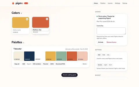 Pigmo screenshot 1