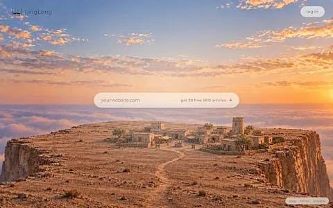 LingLong SEO screenshot 1