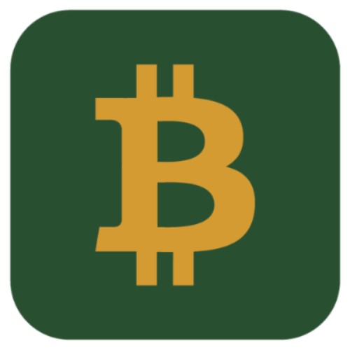 Bitcoin Loans Market