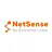 NetSense NMS