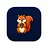 Squirrel It