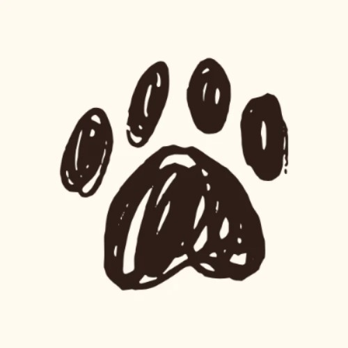 Pawjojo
