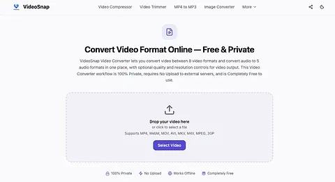 VideoSnap screenshot 1