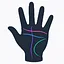 Palm Reader
