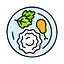 Plate Photo AI