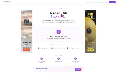 FileToUrl.org screenshot 3