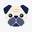 Pug