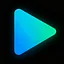 Omni Video