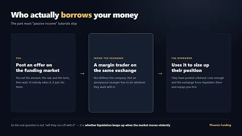 Phoenix Funding screenshot 3