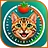 Bengal Pomodoro Timer: Focus & Fitness Breaks