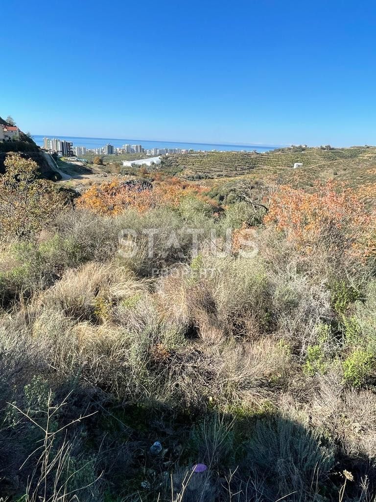 Инвестиционный участок земли в районе Каргыджак, 621 фото 15