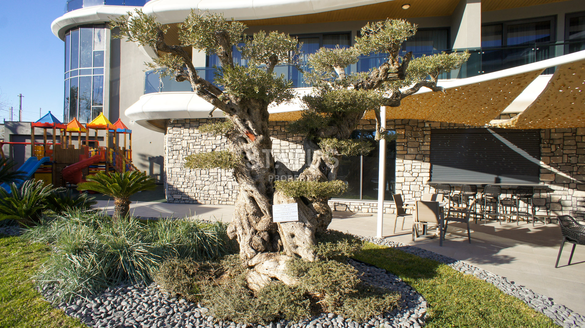 Investment project on the first coastline in Kargicak! In the TOP in popularity! фото 22