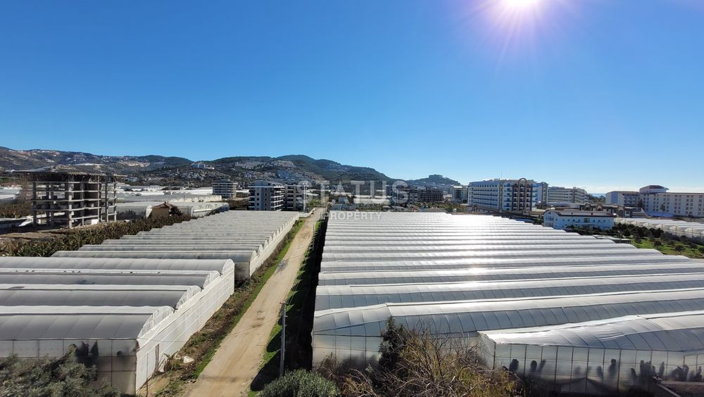 Penthouse 4+2 in the elite area of Kargicak, 350 meters from the sea. фото 3