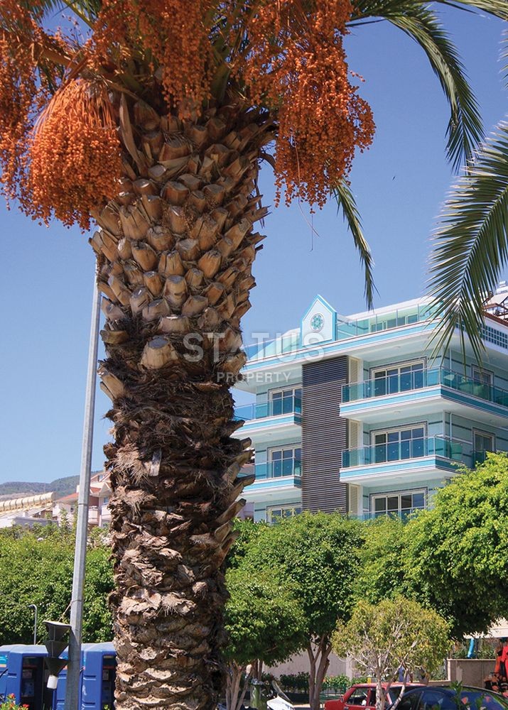 Отличные апартаменты на первой береговой линии в центре Аланьи на пляже Клеопатра фото 23