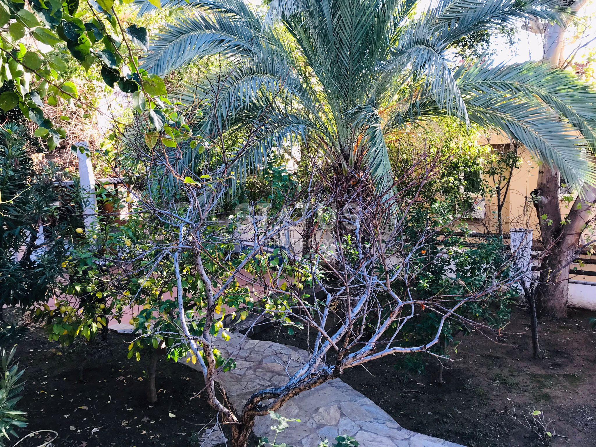 Вилла 8+2 по привлекательной цене в Каргыджаке. 600м2 фото 32