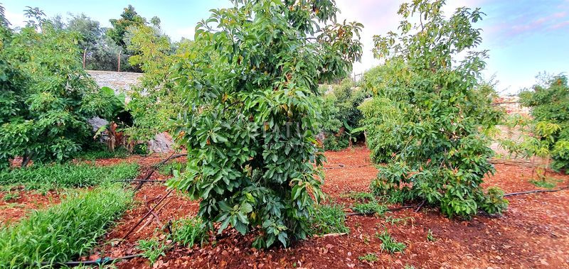 Трёхэтажная вилла с собственным садом и видом на море в Газипаше.  370м2 фото 72