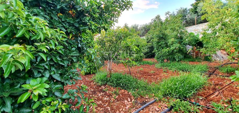 Трёхэтажная вилла с собственным садом и видом на море в Газипаше.  370м2 фото 73