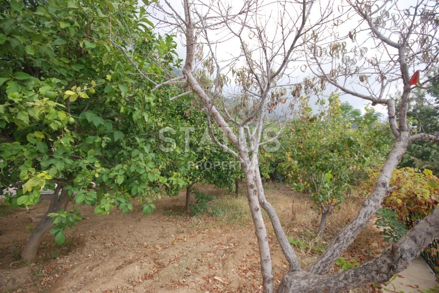 Solid villa with private garden and sea view 320 sq.m. фото 31