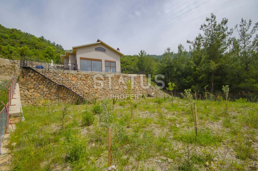 Дом с мебелью, в районе горной реки Дим чай, 130 кв.м. фото 20