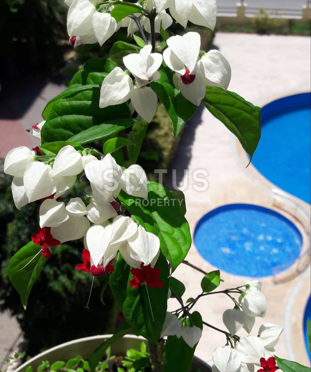 Трёхкомнатная квартира в 400 метрах от Средиземного моря, Махмутлар,150м2. фото 20